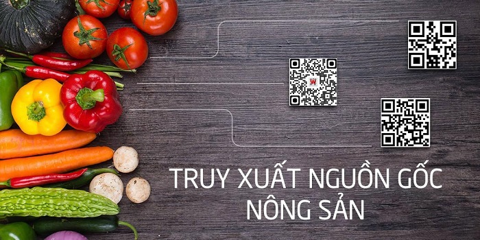 T4   1133   Những điều bạn cần phải biết về truy xuất nguồn gốc nông sản